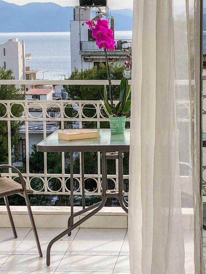 Iason Apartments 卢特拉艾季普苏 外观 照片